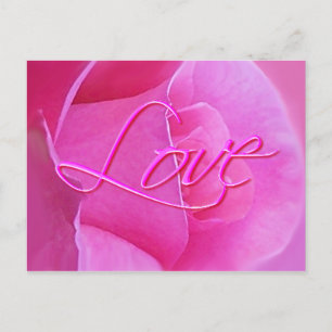 Cartão Postal PINK ROSE & AMOR de SHARON SHARPE