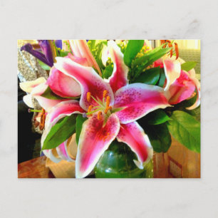 cartão postal pink stargazer lily