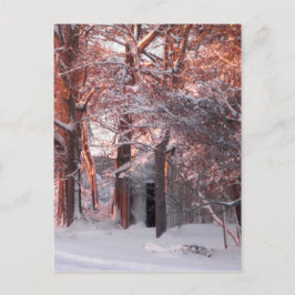 Cartão Postal Pink Sunrise na Foto de inverno da Neve