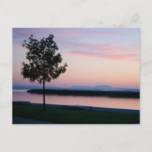 Cartão Postal Pink Sunset