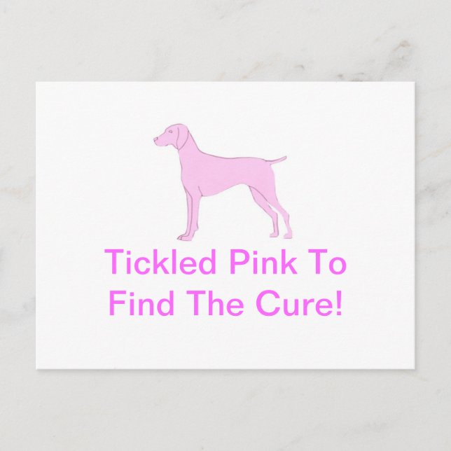 Cartão Postal Pink Vizsla (Frente)