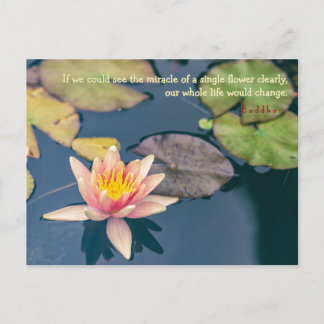 Cartão Postal Pink Water Lily and Buddha Quote