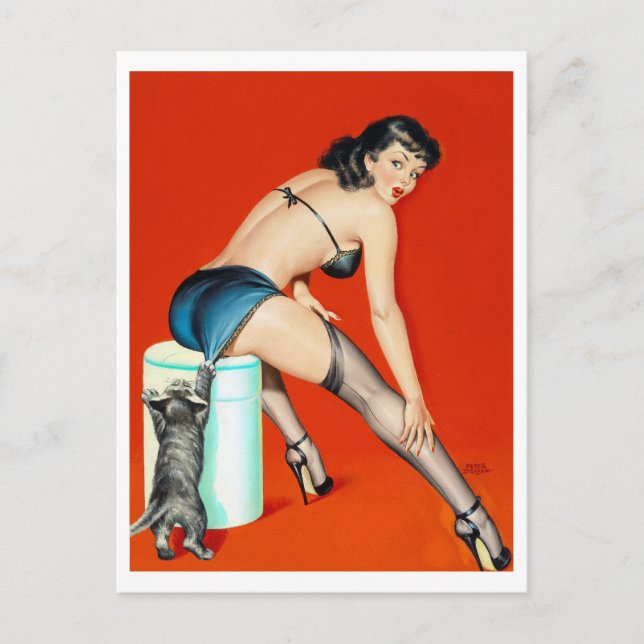 Cartão Postal Pino de pulsação do gatinho para cima (Frente)