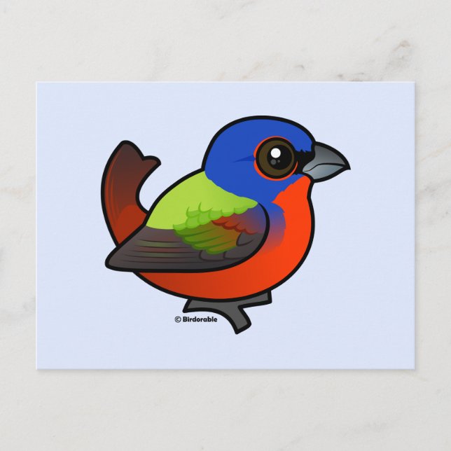 Cartão Postal Pintados (Frente)