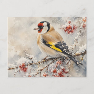 Cartão Postal Pintassilgo Dourado em Bagas de Inverno em Aquarel