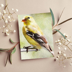 Cartão Postal Pintassilgo Dourado Pintado Digitalmente No Comedo