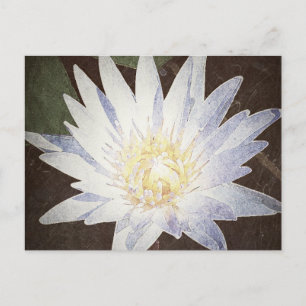 CARTÃO POSTAL "PINTED LOTUS"