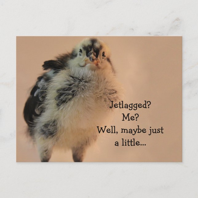 Cartão Postal Pintinho feio (Frente)