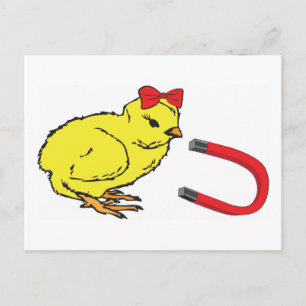 Cartão Postal Pintinho Magnet, homem da senhora engraçada