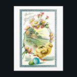 Cartão Postal Pintinho, Ovos de Páscoa e Visitas<br><div class="desc">Ilustração de safra cômica apresentando uma cena rural pacífica em uma margarida,  pintinho amarelo,  ovos de Páscoa tingidos e Páscoa Saudação com borda decorativa azul e prateada.</div>