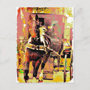 Cartão Postal Pinto Amish Horse 8 Bits Art