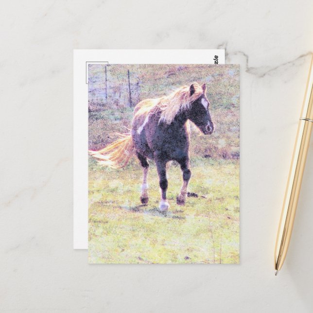 Cartão Postal Pinto Pony (Frente/Verso In Situ)