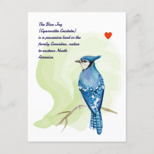 Cartão Postal Pintor aquarela azul
