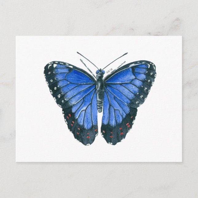 Cartão Postal Pintor aquoso da borboleta Azul Morpho (Frente)