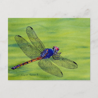 Cartão Postal Pintor de aquarela de Dragonfly