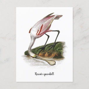 Cartão Postal Pintor de colheres de rosear Pequeno