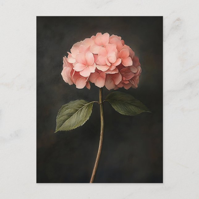Cartão Postal Pintor de Hydrangea Botânica Rosa (Frente)