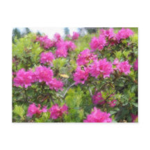 Pintura a óleo de rododendro rosa alpino