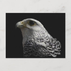 Cartão Postal Pintura ártica do retrato de Gyrfalcon