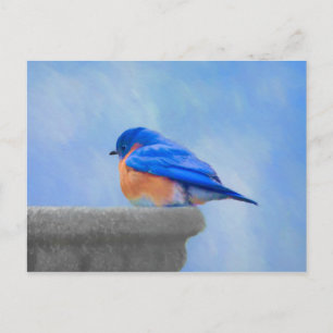 Cartão Postal Pintura Bluebird - Arte Original para Pássaros
