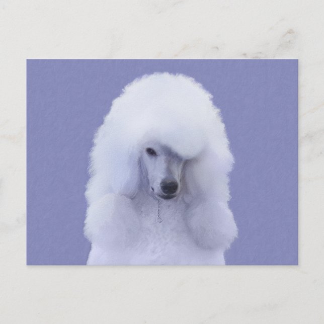 Cartão Postal Pintura Branca de Poodle Padrão - Arte Cão Origina (Frente)