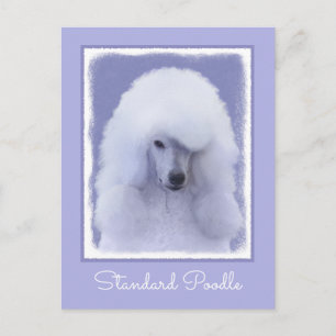 Cartão Postal Pintura Branca de Poodle Padrão - Arte Cão Origina