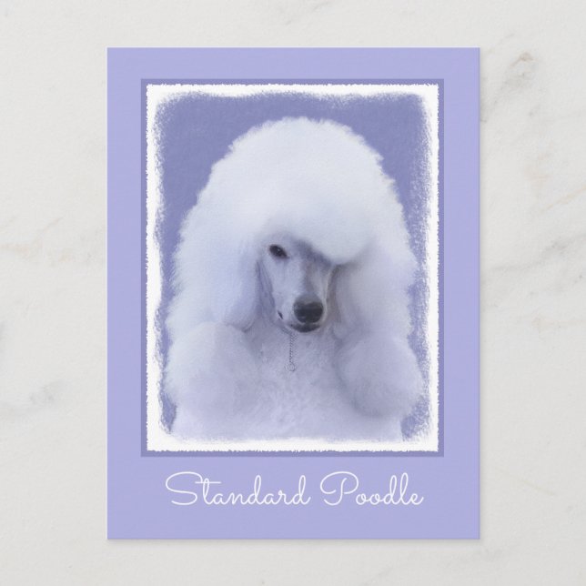 Cartão Postal Pintura Branca de Poodle Padrão - Arte Cão Origina (Frente)