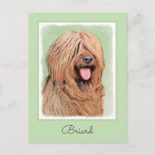 Cartão Postal Pintura Briard - Arte Cachorro Original
