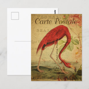 Cartão Postal Pintura com cartão-postal Flamingo Vintage