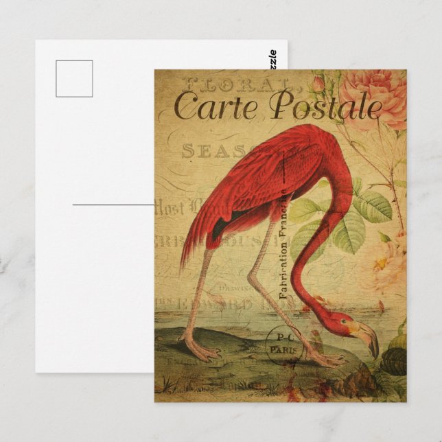 Cartão Postal Pintura com cartão-postal Flamingo Vintage (Frente/Verso)