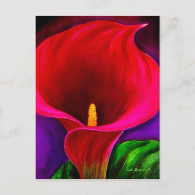 Cartão Postal Pintura com Flor Vermelho Cala Lily - Múltiplos (Frente)