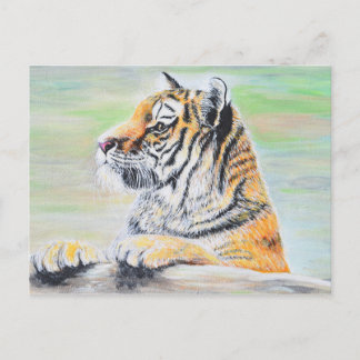 Cartão Postal Pintura curiosa do Tigre