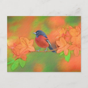 Cartão Postal Pintura da Ave Canora Trinta-réis-do-jardim Arte O