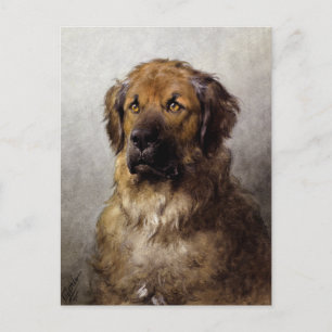 Cartão Postal Pintura da Cabeça de um Cão Leonberger