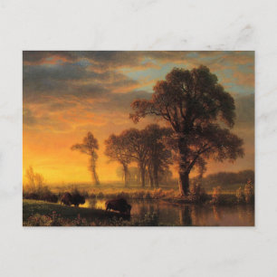 Cartão Postal Pintura de Albert Bierstadt, Kansas Ocidental