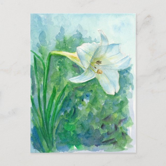Cartão Postal Pintura de Aquarela com Flor Branco (Frente)