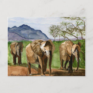 Cartão Postal Pintura de Aquarela de Elefantes Africanos