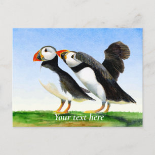 Cartão Postal Pintura de Aquarela de Pássaro Puffin