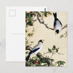 Cartão Postal Pintura de Arte de Pássaros Antigos em Galho de Ce