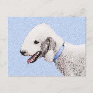 Cartão Postal Pintura de Bedlington Terrier - Arte de Cachorro O