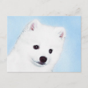 Cartão Postal Pintura de Cachorro Eskimo Americano - Arte Origin