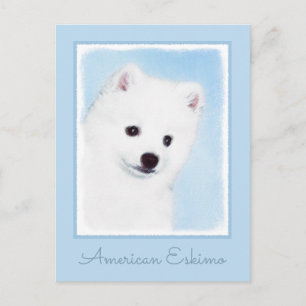 Cartão Postal Pintura de Cachorro Eskimo Americano - Arte Origin