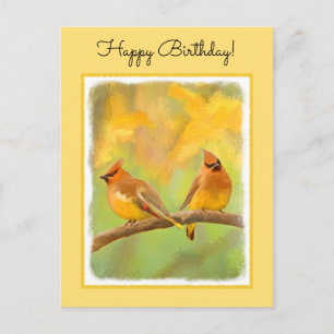 Cartão Postal Pintura De Cedar Waxwing - Arte De Cachorro Origin
