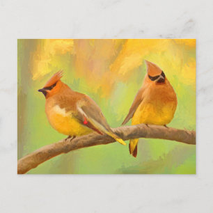 Cartão Postal Pintura De Cedar Waxwing - Arte De Cachorro Origin