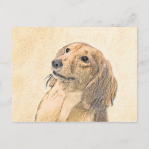 Cartão Postal Pintura de Dachshund (Longhaired) - Arte de Cão O