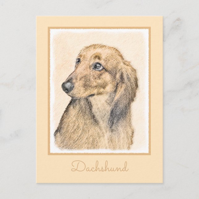 Cartão Postal Pintura de Dachshund (Longhaired) - Arte de Cão Or (Frente)