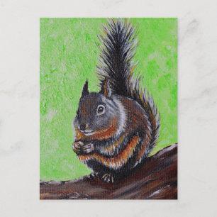 Cartão Postal Pintura de Esquilo de Douglas 2