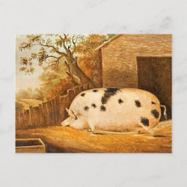 Cartão Postal Pintura De Fazendas De Porco Vintage