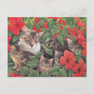 CARTÃO POSTAL PINTURA DE GATO