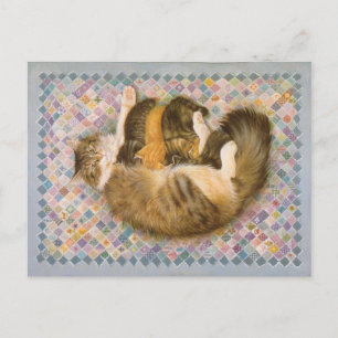 CARTÃO POSTAL PINTURA DE GATO